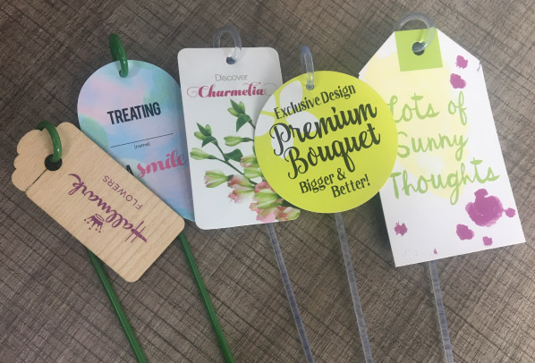 Línea Tags